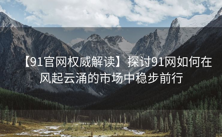 【91官网权威解读】探讨91网如何在风起云涌的市场中稳步前行