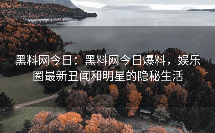 黑料网今日：黑料网今日爆料，娱乐圈最新丑闻和明星的隐秘生活
