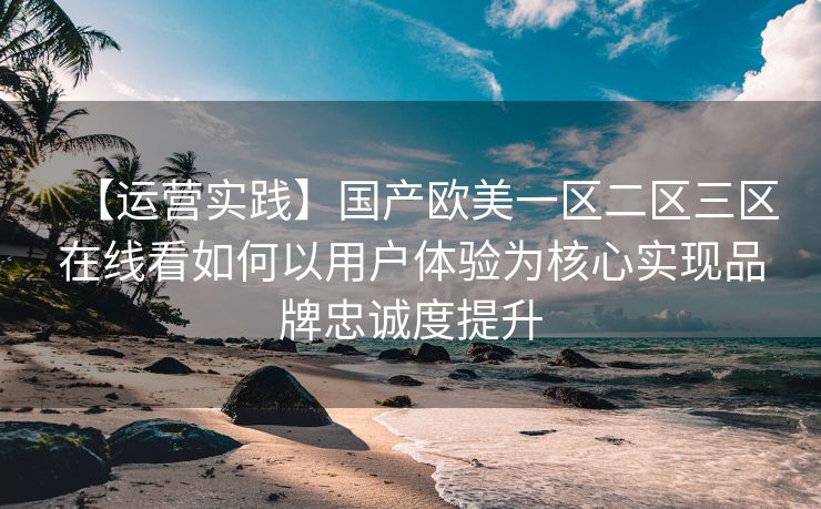 【运营实践】国产欧美一区二区三区在线看如何以用户体验为核心实现品牌忠诚度提升