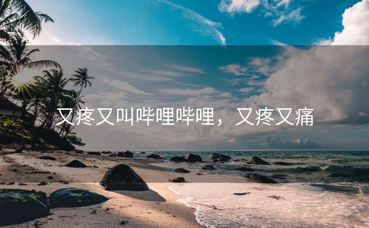 又疼又叫哔哩哔哩，又疼又痛