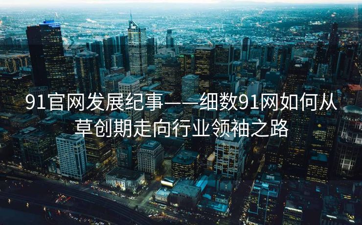 91官网发展纪事——细数91网如何从草创期走向行业领袖之路