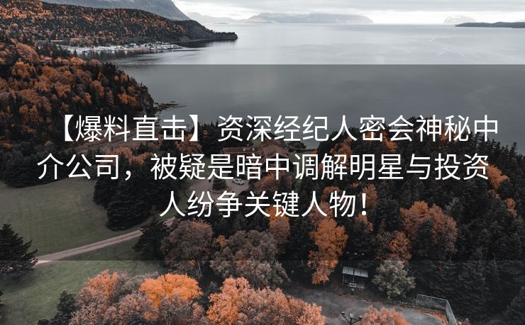 【爆料直击】资深经纪人密会神秘中介公司，被疑是暗中调解明星与投资人纷争关键人物！