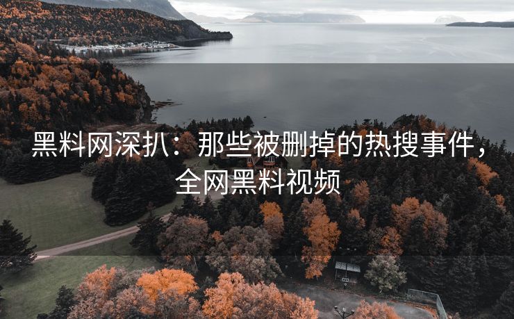 黑料网深扒：那些被删掉的热搜事件，全网黑料视频