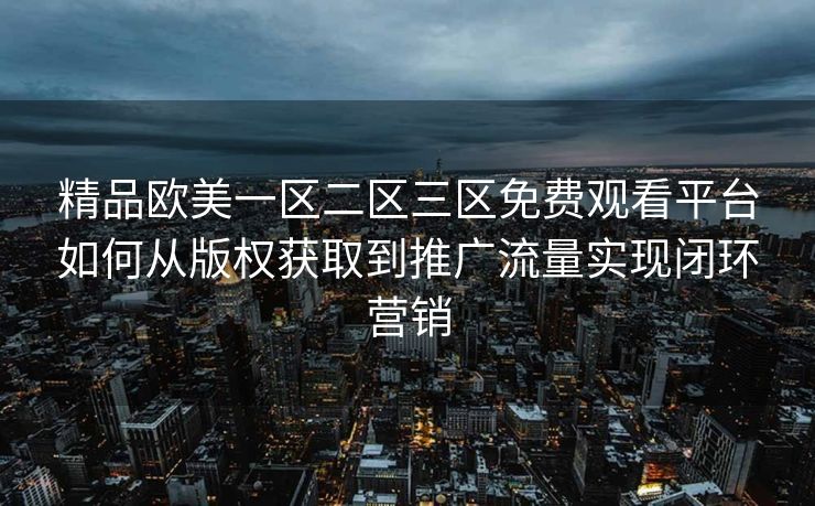 精品欧美一区二区三区免费观看平台如何从版权获取到推广流量实现闭环营销