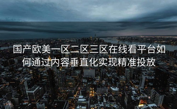 国产欧美一区二区三区在线看平台如何通过内容垂直化实现精准投放