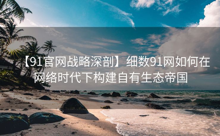 【91官网战略深剖】细数91网如何在网络时代下构建自有生态帝国