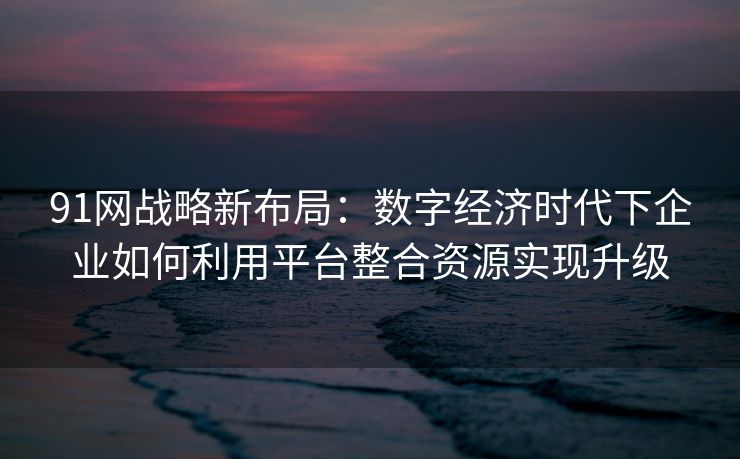 91网战略新布局：数字经济时代下企业如何利用平台整合资源实现升级
