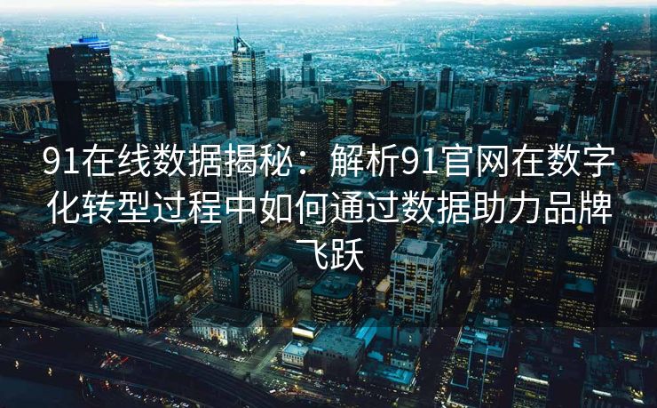 91在线数据揭秘：解析91官网在数字化转型过程中如何通过数据助力品牌飞跃